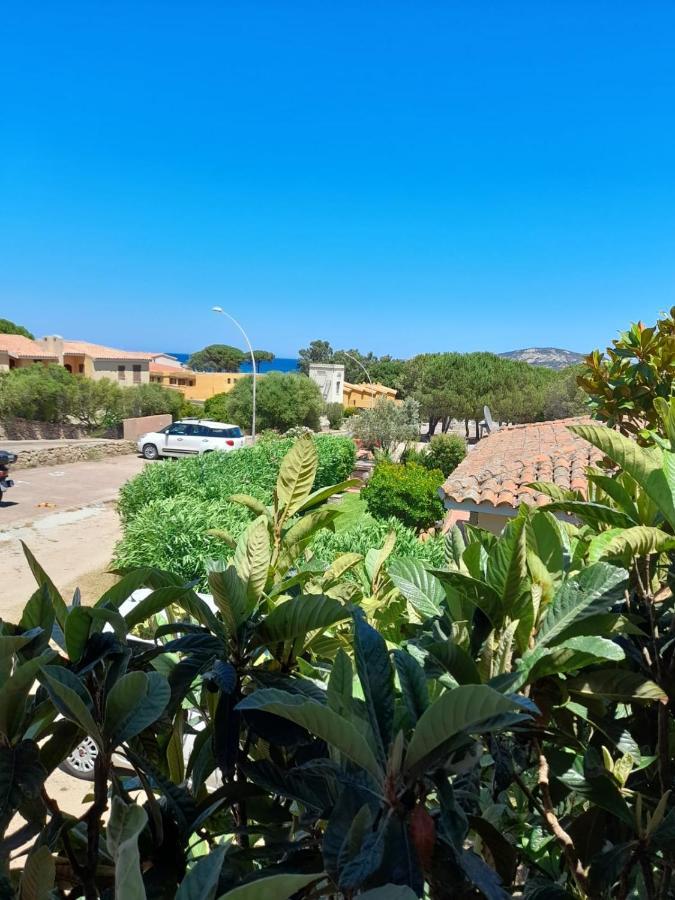 Appartamento Casa di Alba Cannigione Esterno foto