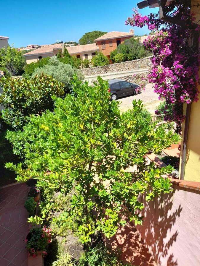Appartamento Casa di Alba Cannigione Esterno foto