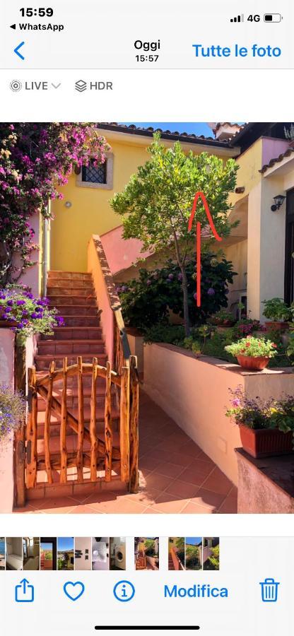 Appartamento Casa di Alba Cannigione Esterno foto